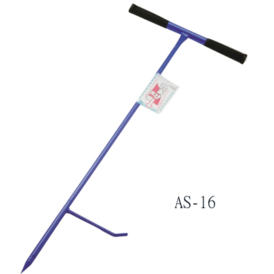 Anaake-Taisho