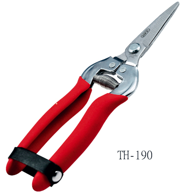 Stainless Scissors for Harvest