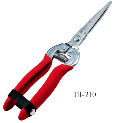 Stainless Scissors for Harvest